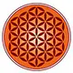 4_.webp