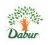 Dabur